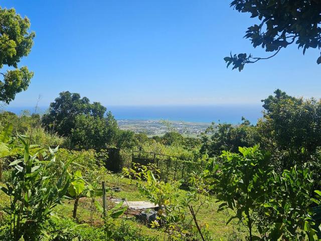Maison vente à La Réunion