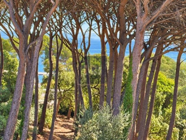 Appartement vente à Sainte-Maxime, Var