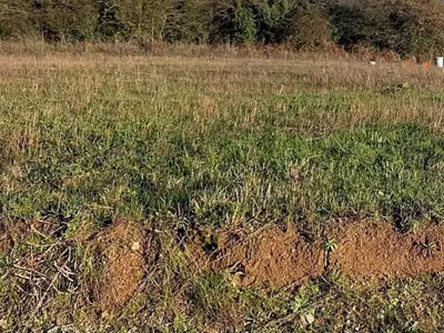 Terrain vente à Nantes, Sainte-pazanne