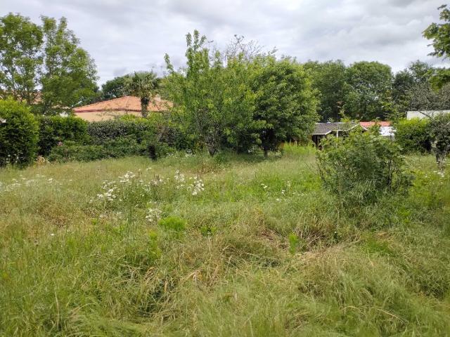 Terrain vente à Sainte-Pazanne, Loire-Atlantique