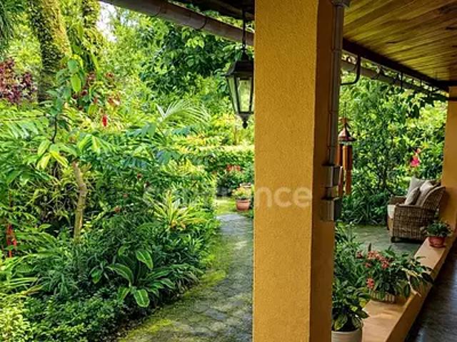 Maison vente à La Réunion