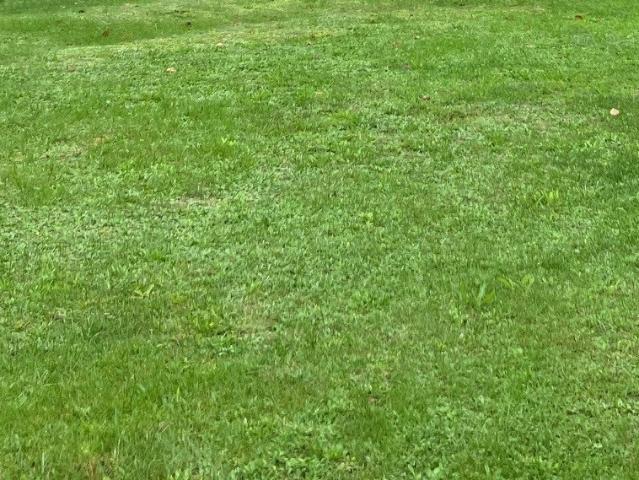 Terrain vente à Saintes