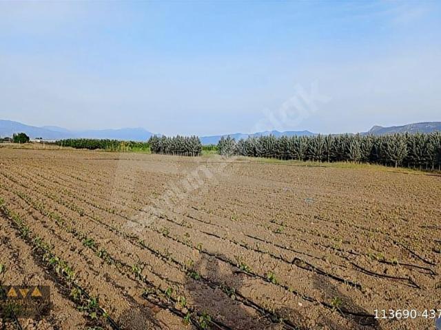 Pamukova, Sakarya içerisinde satılık Arsa