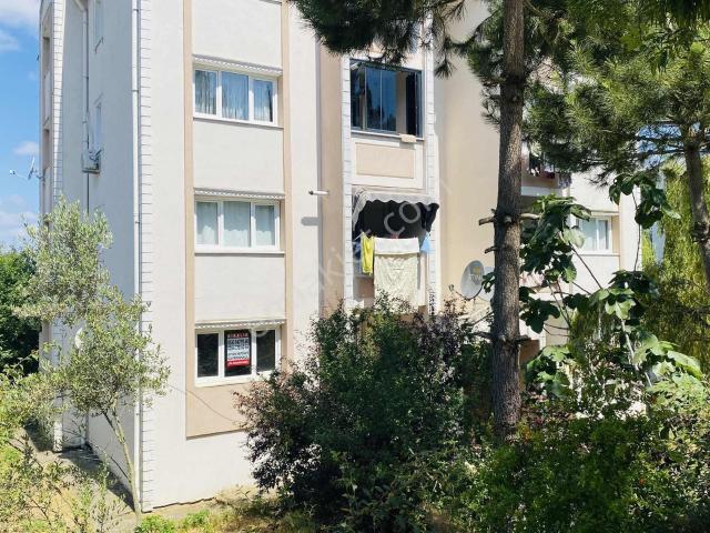 Adapazari, Sakarya içerisinde kiralık mülk