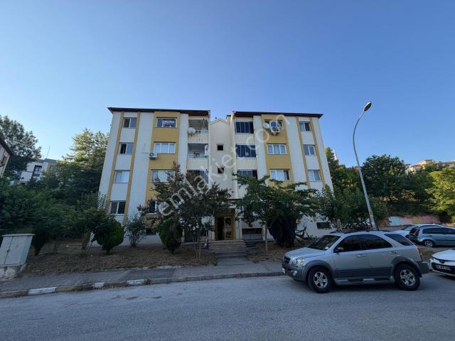 Adapazari, Sakarya içerisinde kiralık mülk