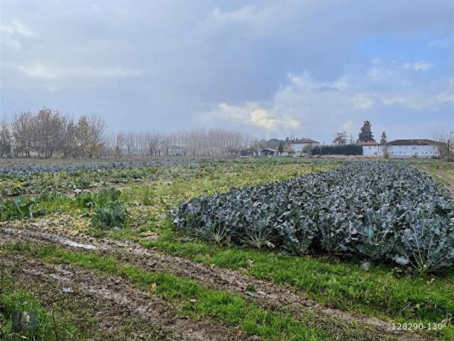 Erenler, Sakarya içerisinde satılık Arsa