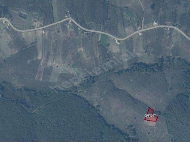Kaynarca, Sakarya içerisinde satılık mülk