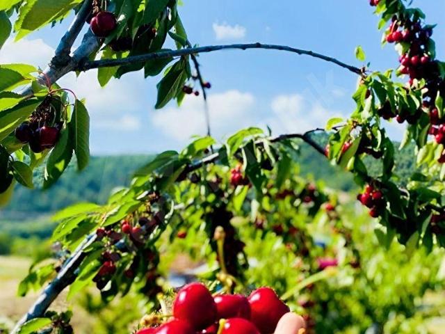 Geyve, Sakarya içerisinde satılık mülk