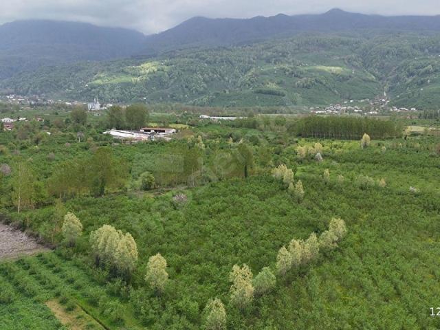 Hendek, Sakarya içerisinde satılık Arsa