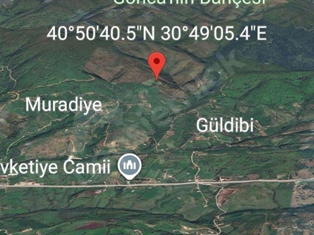 Hendek, Sakarya içerisinde satılık Arsa