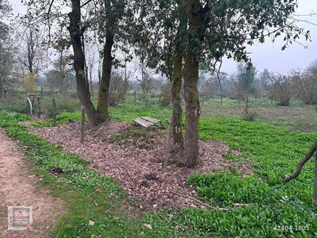Hendek, Sakarya içerisinde satılık mülk