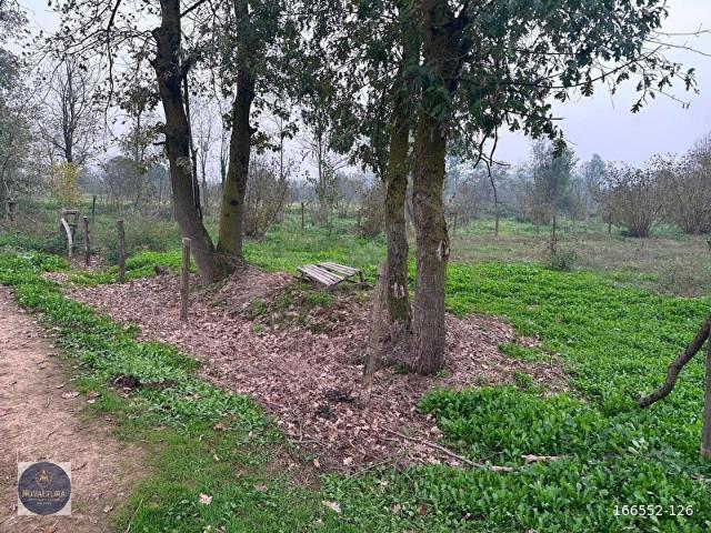 Hendek, Sakarya içerisinde satılık Arsa