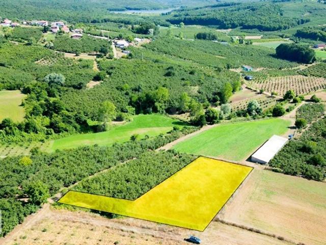 Ferizli, Sakarya içerisinde satılık Arsa