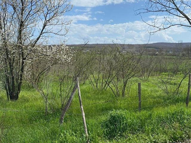 Kaynarca, Sakarya içerisinde satılık Arsa