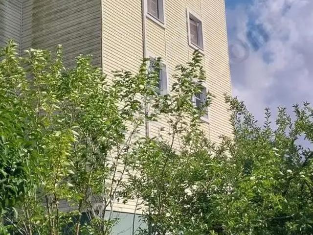 Adapazari, Sakarya içerisinde kiralık mülk