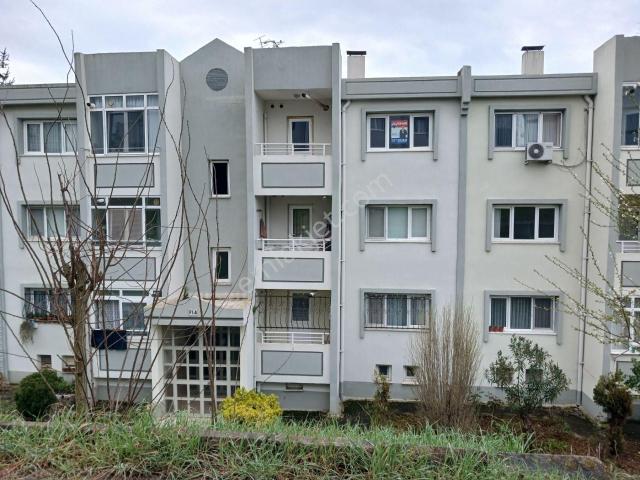 Adapazari, Sakarya içerisinde kiralık mülk