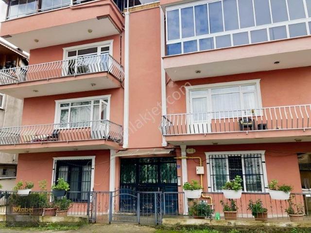 Fatsa içerisinde kiralık mülk