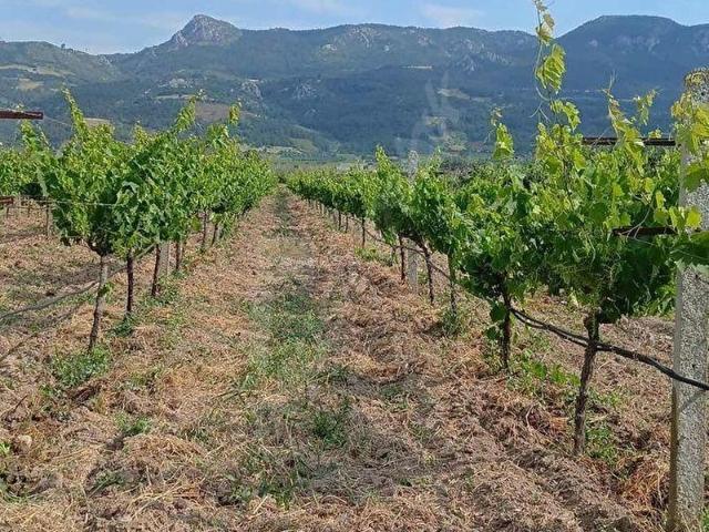 Pamukova, Sakarya içerisinde satılık Arsa