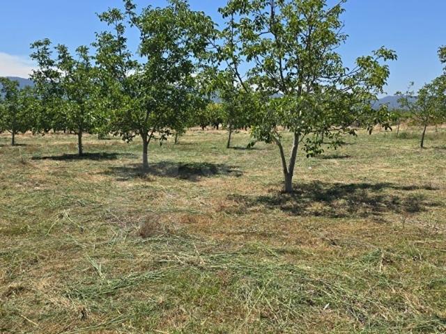 Pamukova, Sakarya içerisinde satılık Arsa