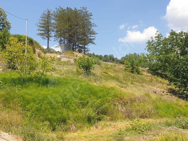 Sapanca, Sakarya içerisinde satılık mülk