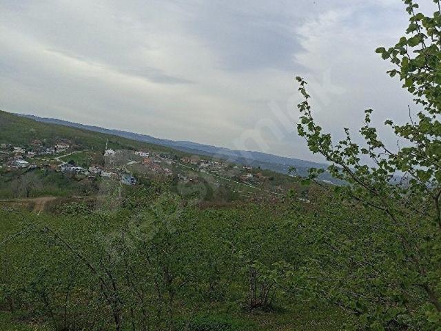 Serdivan, Sakarya içerisinde satılık mülk