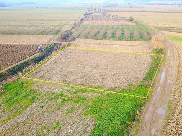 Söğütlü, Sakarya içerisinde satılık Arsa