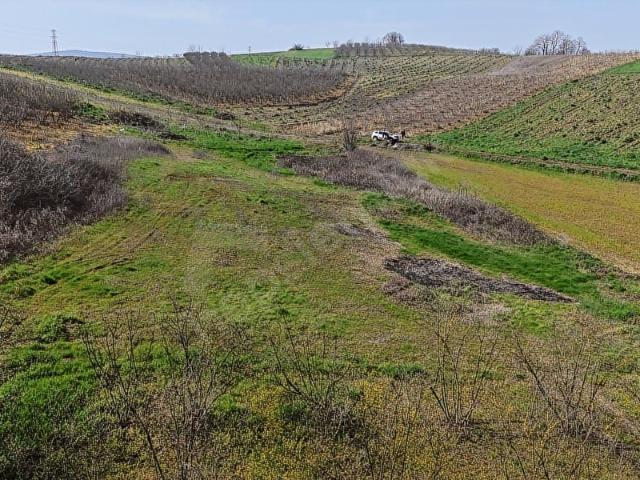 Söğütlü, Sakarya içerisinde satılık Arsa