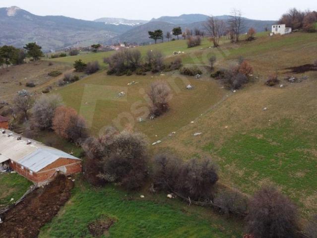 Çakallar, Taraklı içerisinde satılık Arsa