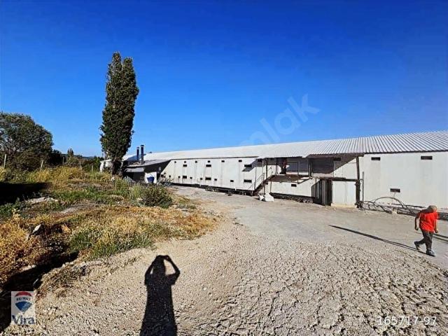 Tarakli, Sakarya içerisinde satılık Fabrika