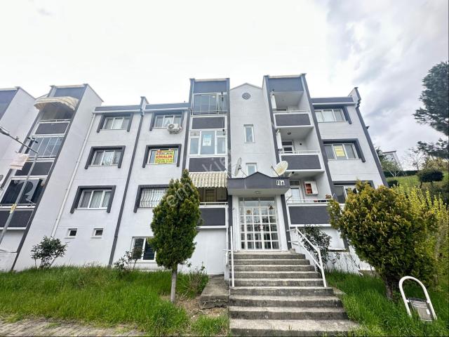 Adapazari, Sakarya içerisinde kiralık mülk