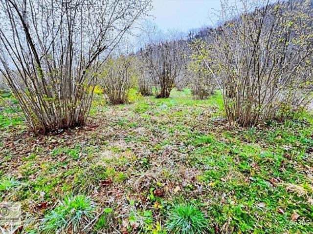 Ordu içerisinde satılık mülk