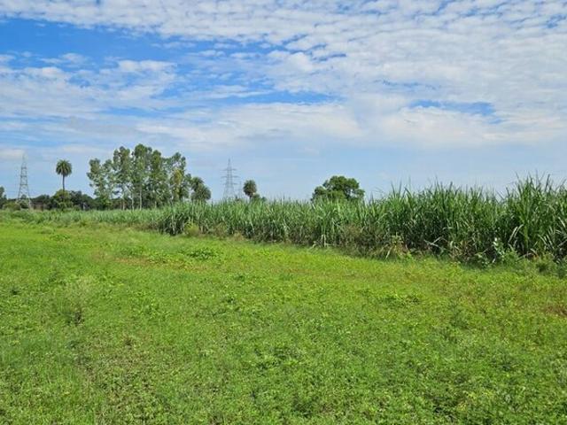 Land for rent in Jharli, Arunachal Pradesh