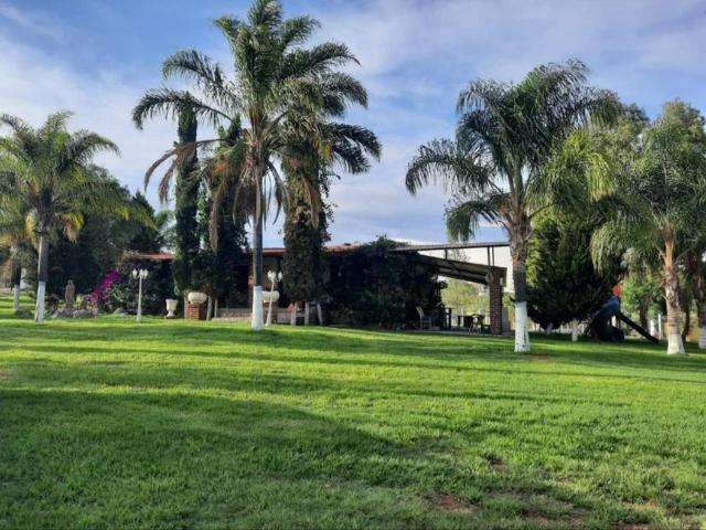 Terreno en renta en Jesús María, Aguascalientes