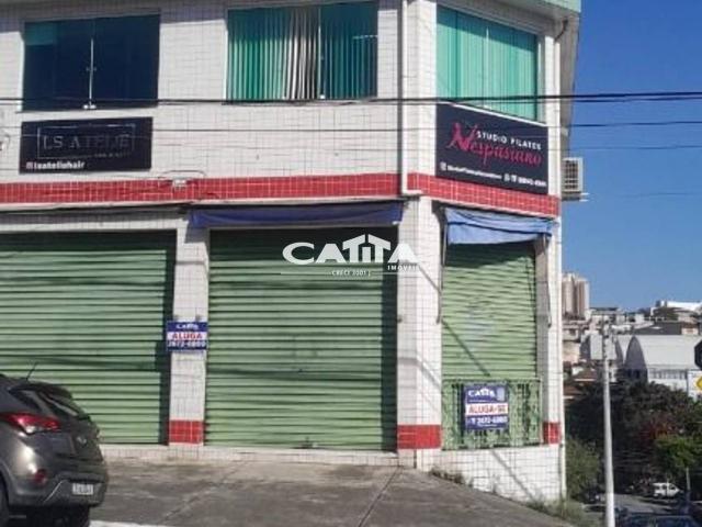 Sítio e chácara aluguel em Carrão, São Paulo