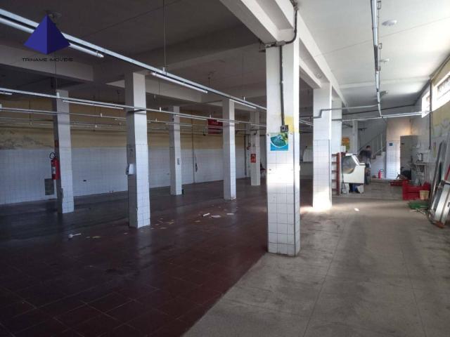 Sítio e chácara aluguel em Região Imediata de São Paulo, Região Metropolitana de São Paulo
