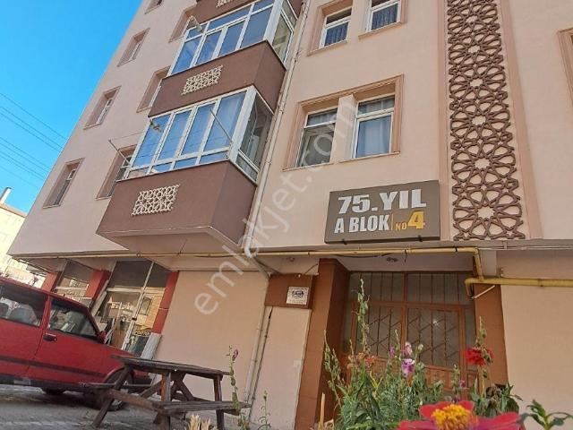 Kastamonu Merkez, Kastamonu içerisinde kiralık mülk