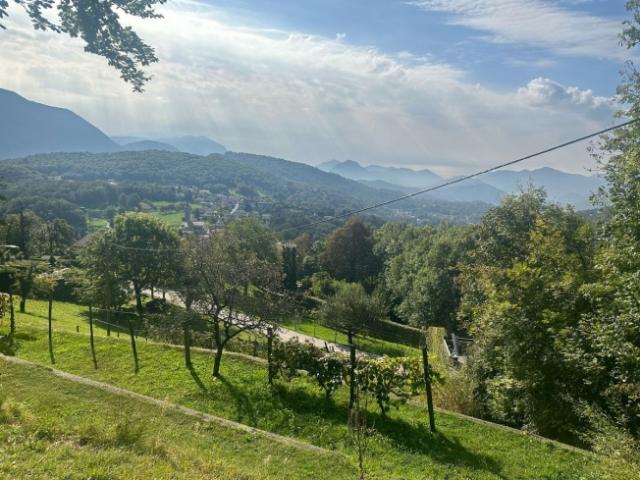Grundstück kaufen in Sala Capriasca, Tessin