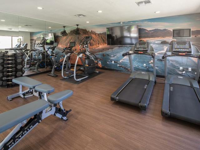 Apartment for rent in Tempe, Arizona