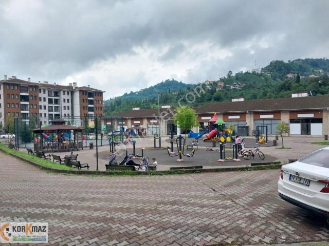 Rize içerisinde kiralık mülk