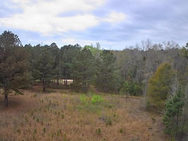 Land for sale in Smoaks, South Carolina
