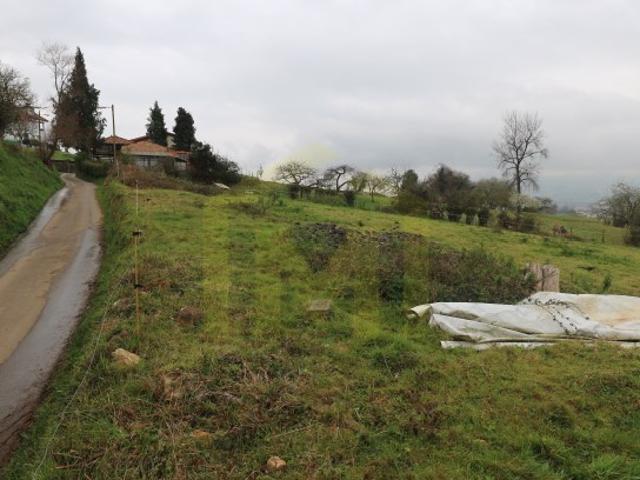 Casa en venta en Oviedo, Asturias