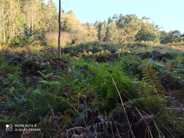 Terreno en venta en Ares, Ferrol