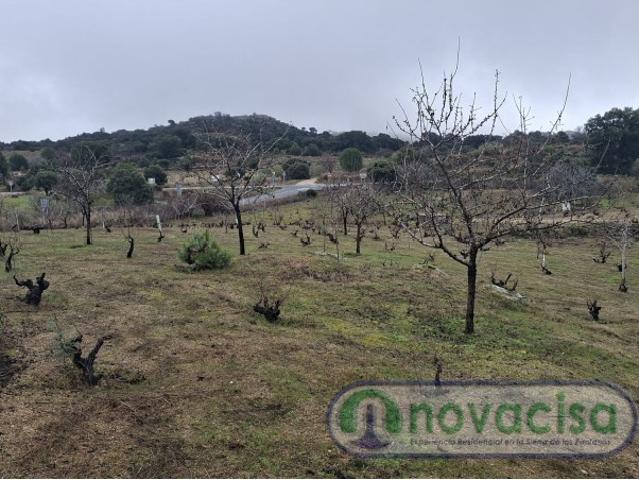 Casa Rural en venta en Cenicientos, Madrid