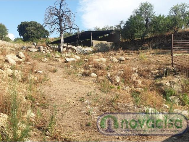 Quinta en venta en El Tiemblo