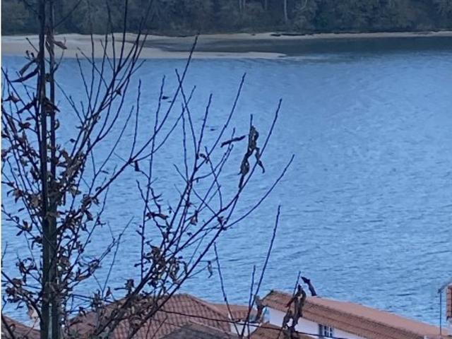 Terreno en venta en Mugardos, Ferrol