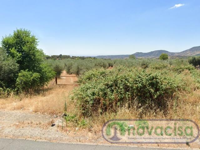 Terreno en venta en La Castellana y El Pilar, Cadalso De Los Vidrios