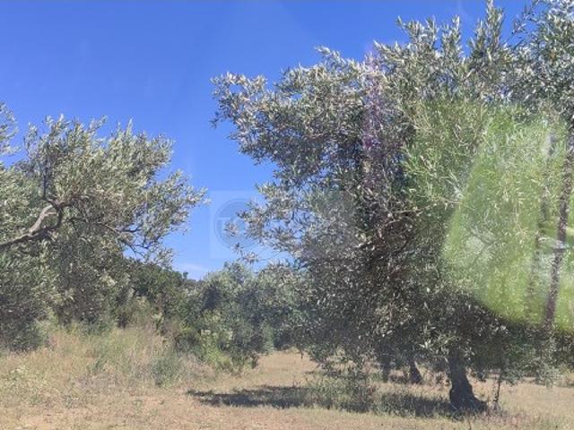 Terreno en venta en Alt Empordà, Catalunya