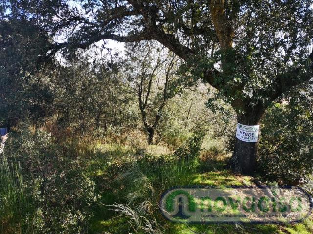 Terreno en venta en Almorox