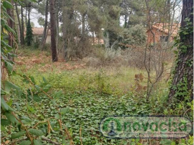Terreno en venta en Cadalso De Los Vidrios, La Castellana y El Pilar