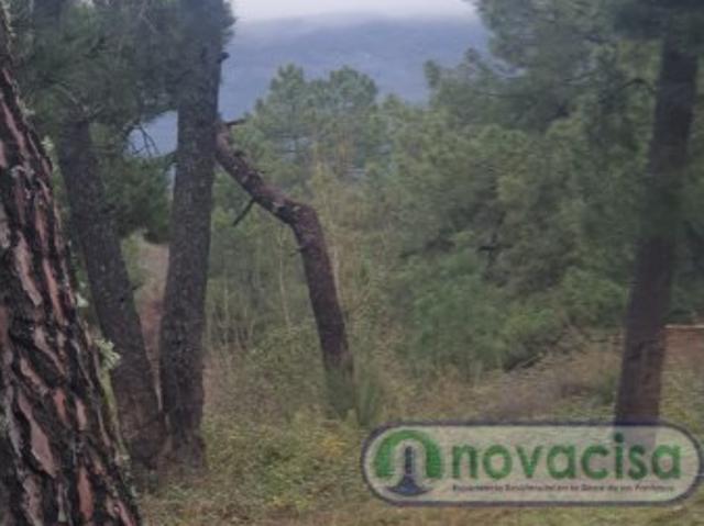 Terreno en venta en La Castellana y El Pilar, Cadalso De Los Vidrios